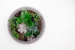 室內空氣甲醛超標怎么處理比較好？